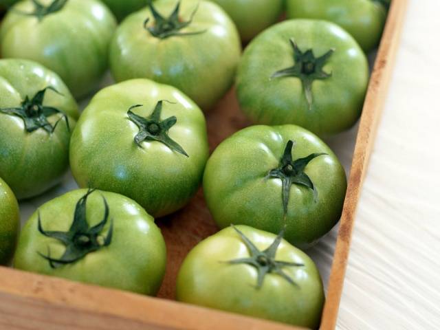 Spicy pickled green tomatoes for the winter