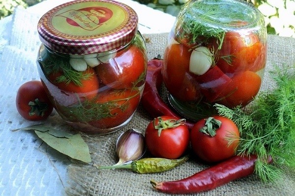 Spicy tomatoes for the winter