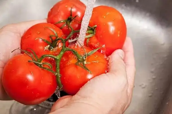 Spicy tomatoes for the winter