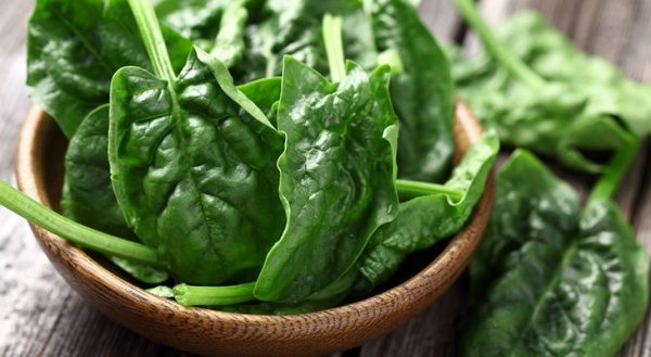 Spinach garden - a set of useful properties in one plant