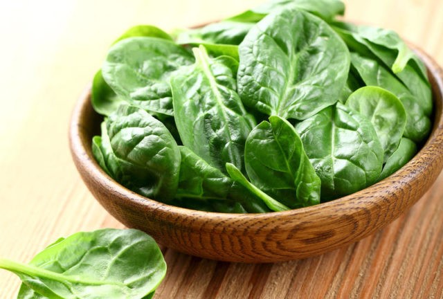 Spinach: growing at home from seeds for beginners