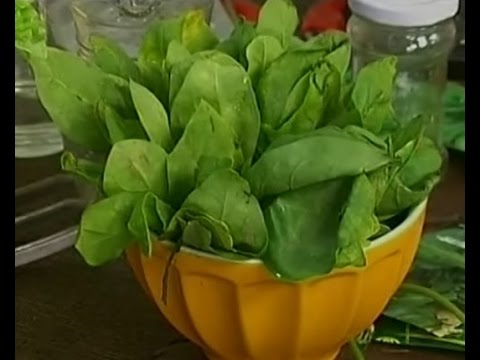 Spinach: growing from seeds at home, collecting and storing