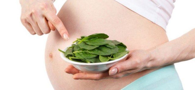 Spinach: health benefits, contraindications