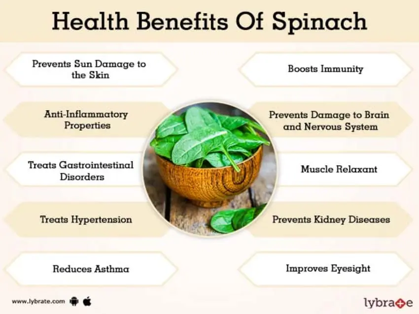 Spinach: health benefits, contraindications