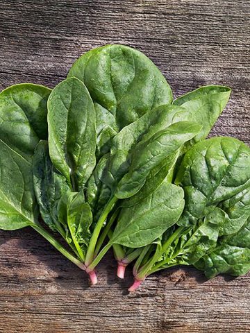 Spinach Matador: reviews and cultivation