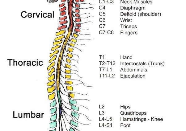 Spinal cord injury. «From the waist down I felt nothing. I had two options »