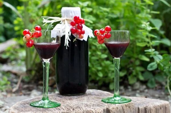 Spotykach: recipes for traditional fruit, berry and spicy liqueurs based on vodka or moonshine