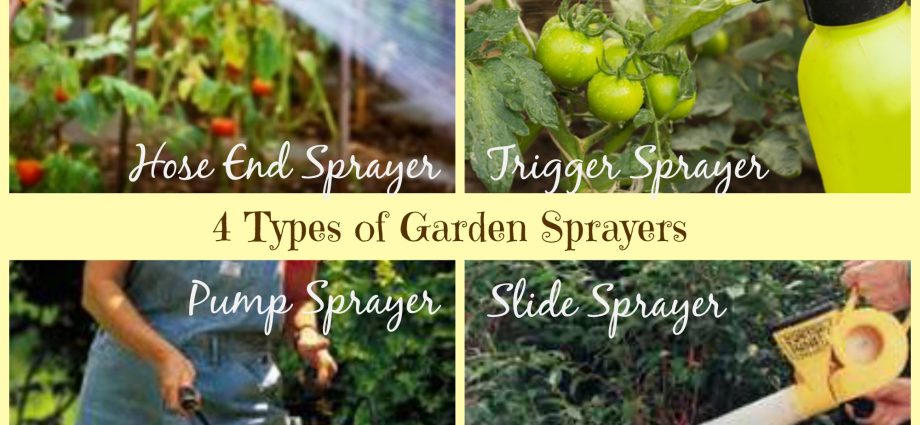 Sprayers for watering the garden: what are you for?