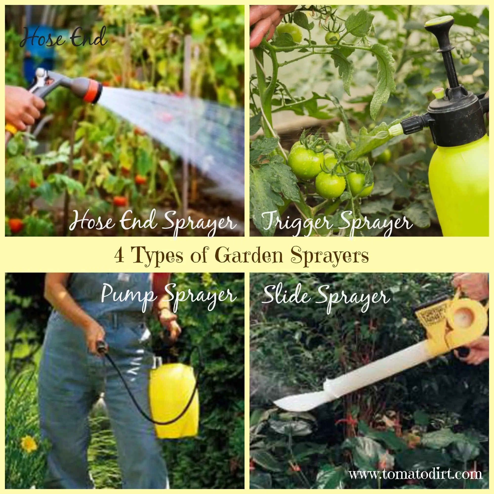 Sprayers for watering the garden: what are you for?