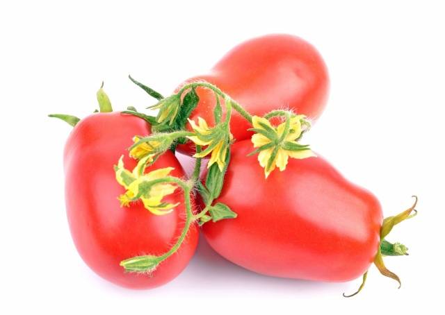 Spraying tomatoes for the ovary