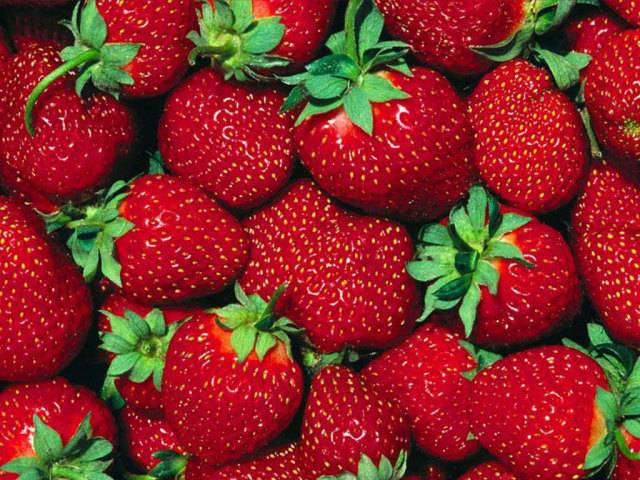 Spring processing of strawberries