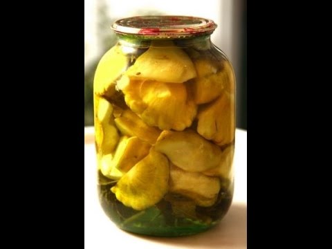 Squash marinated for the winter