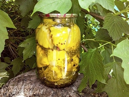 Squash marinated for the winter