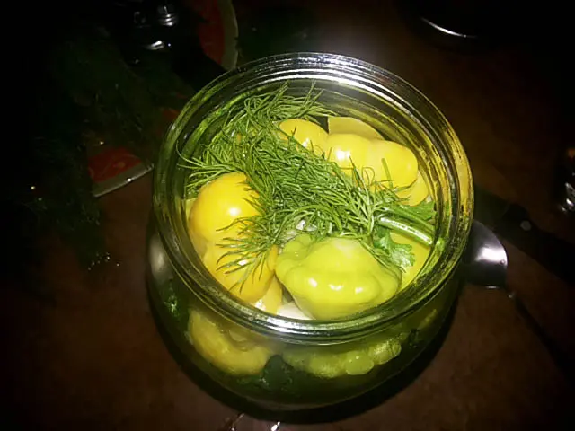 Squash marinated for the winter