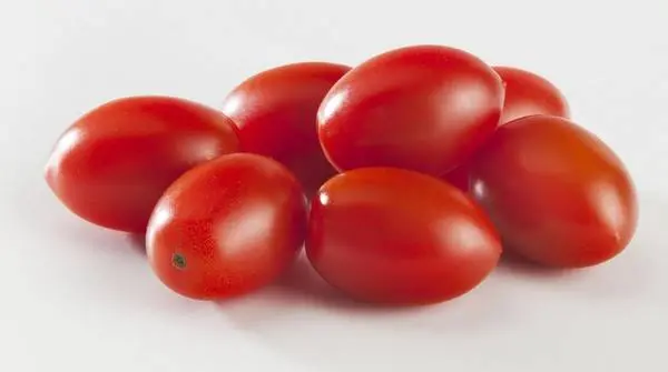 Standard varieties of tomatoes for greenhouses