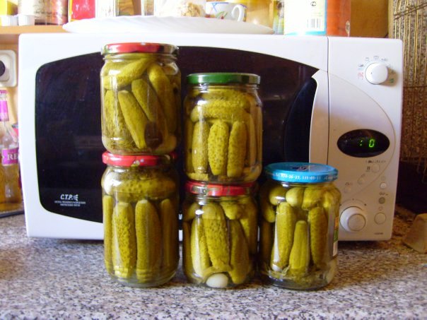 Sterilization of jars in the microwave: we prepare containers for preservation in a dry way and steam in a few minutes in a microwave oven