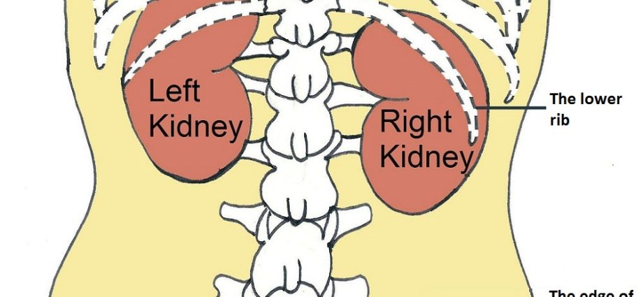 Stings in the left side &#8211; various causes including renal colic, pancreas, gynecological problems and even an aneurysm