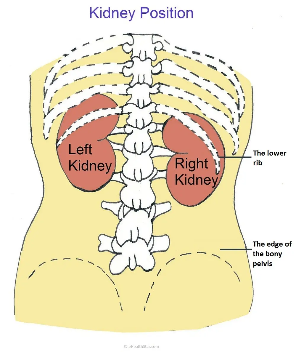 Stings in the left side &#8211; various causes including renal colic, pancreas, gynecological problems and even an aneurysm