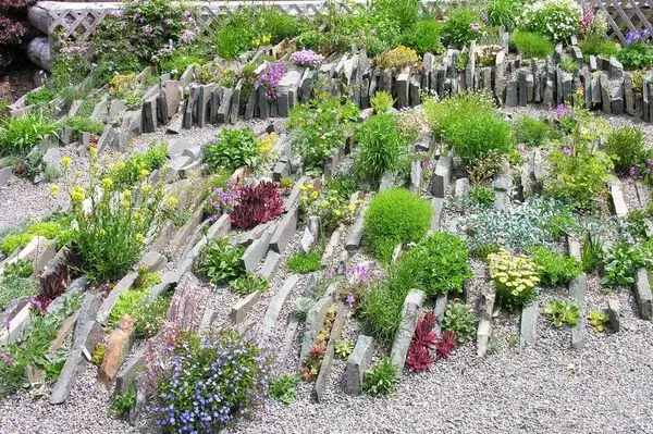 Stones for an alpine slide - where to get flagstone, granite or pebbles, rules for laying stone blocks + photos of ready-made solutions