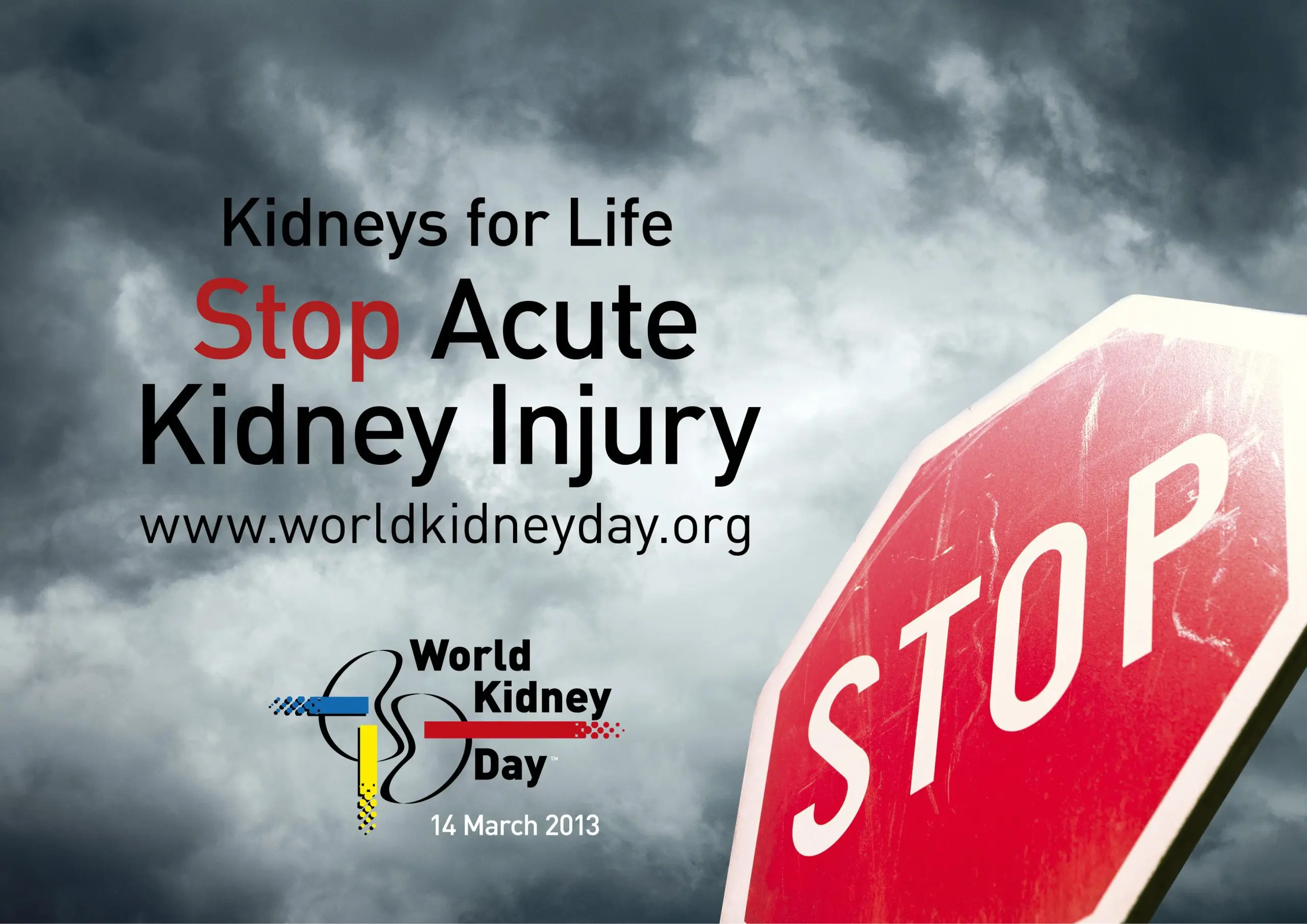 «Stop acute kidney damage»