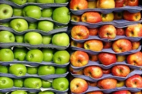 Storage of apples in the winter in the cellar