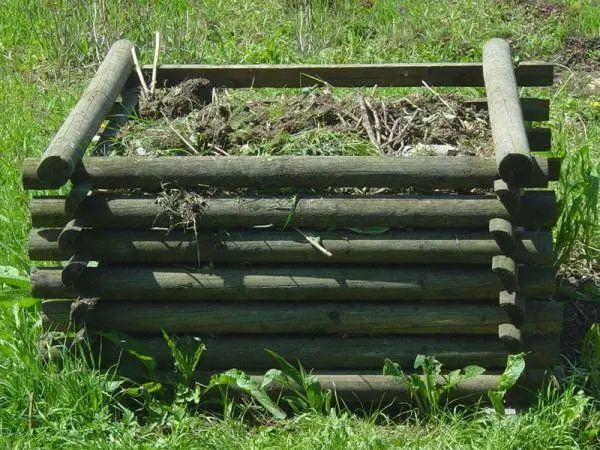 Storage of apples in the winter in the cellar