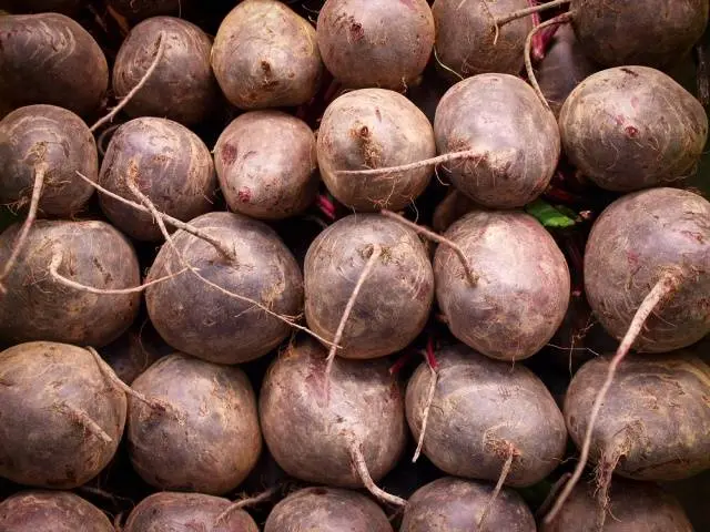 Storing beets for the winter 