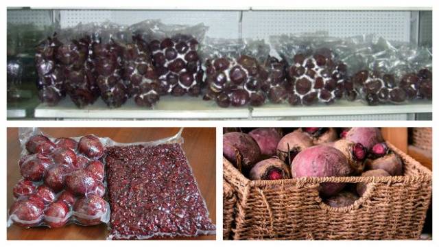 Storing beets for the winter 