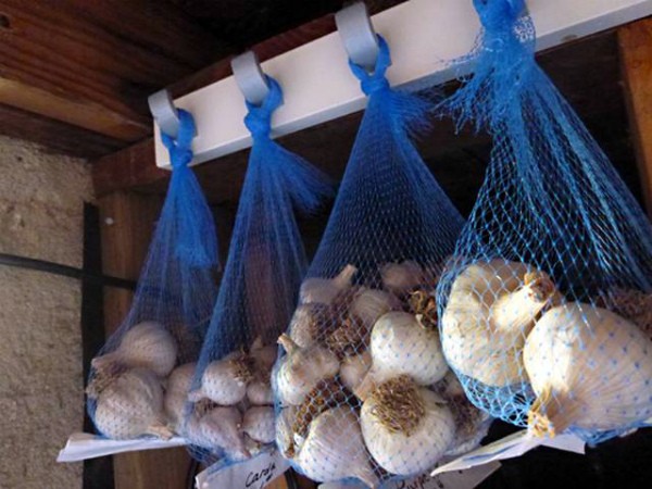 Storing garlic in winter at home: tips