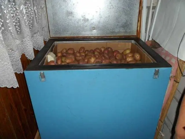 Storing potatoes on the balcony in winter 