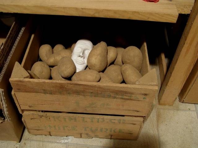 Storing potatoes on the balcony in winter 