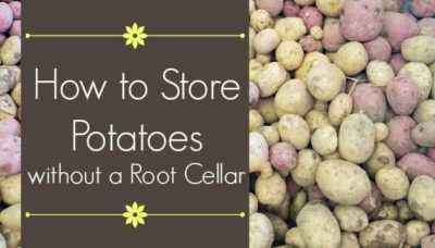 Storing potatoes on the balcony in winter 