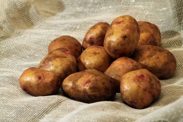 Storing washed potatoes 