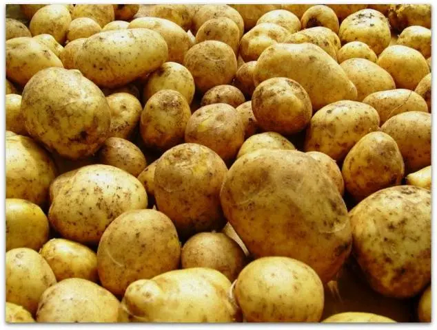 Storing washed potatoes 