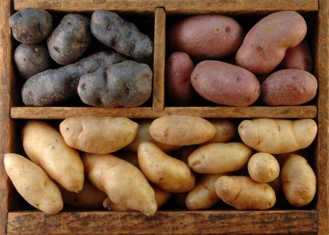 Storing washed potatoes 