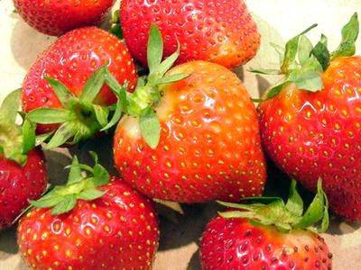 Strawberries for Siberia: variety description with photos