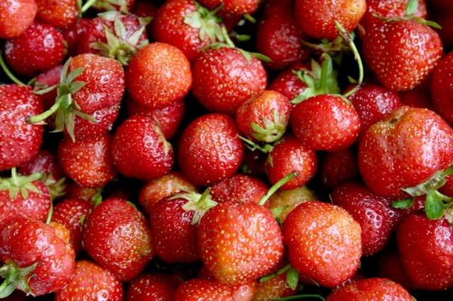 Strawberries for Siberia: variety description with photos