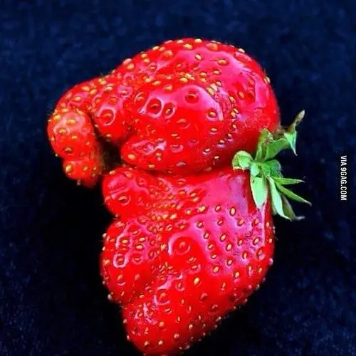 Strawberry Baby Elephant