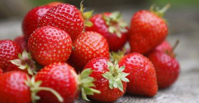 Strawberry Cardinal