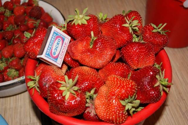 Strawberry Chamora Turusi