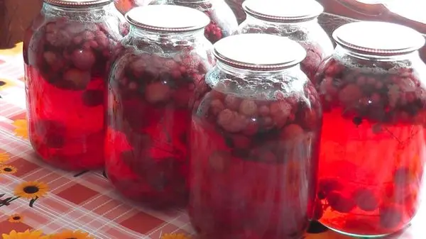 Strawberry compote: healthy harvesting of berries for the winter, delicious homemade recipes for a strawberry drink in jars, a slow cooker