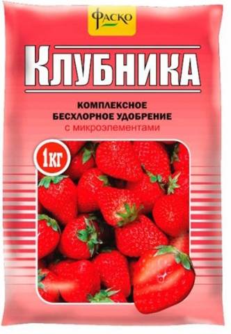 Strawberry Divnaya