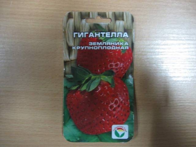 Strawberry Gigantella Maxim: care and cultivation