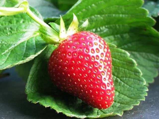 Strawberry Marmalade