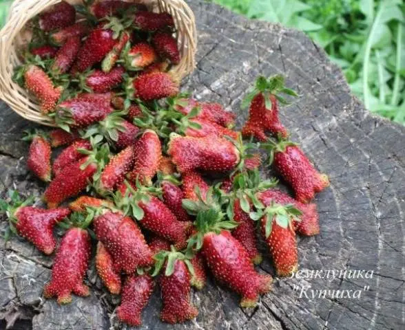 Strawberry Merchant