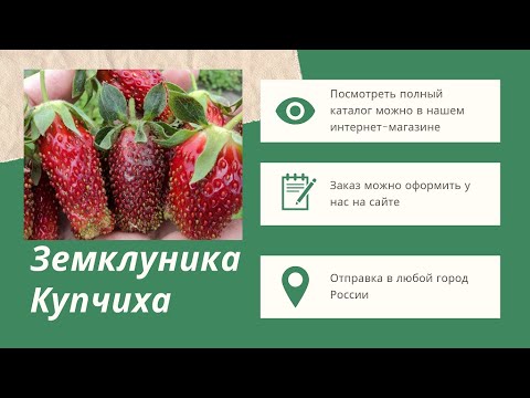 Strawberry Merchant