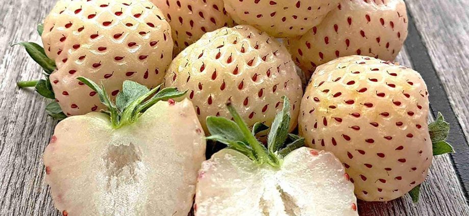 Strawberry Pineberry (Pineapple)