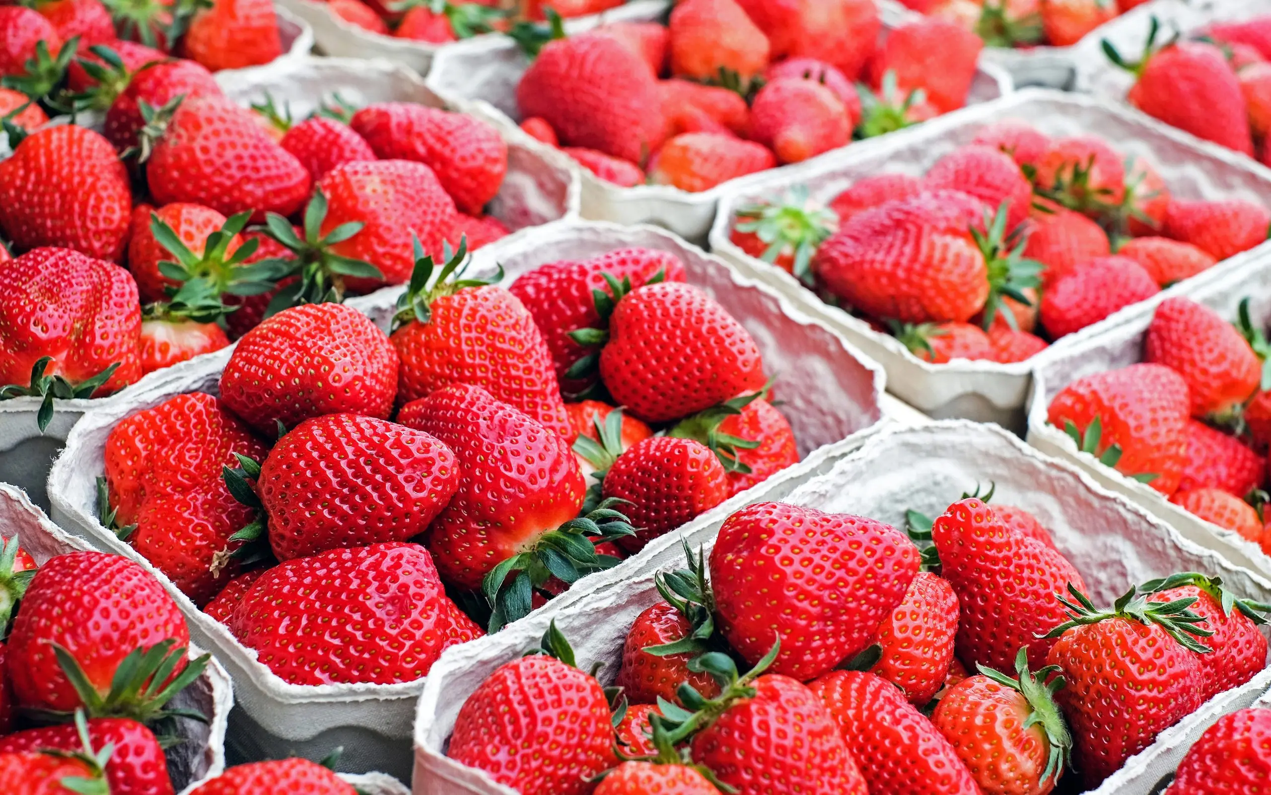 Strawberry Portola