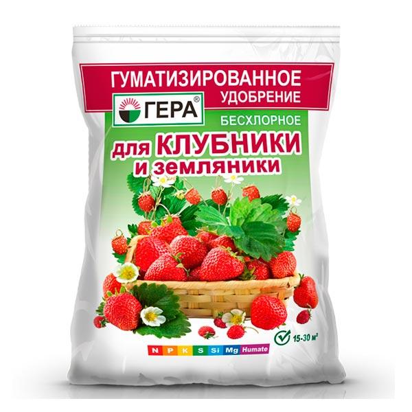 Strawberry Premy (Accept): description, when bred, yield