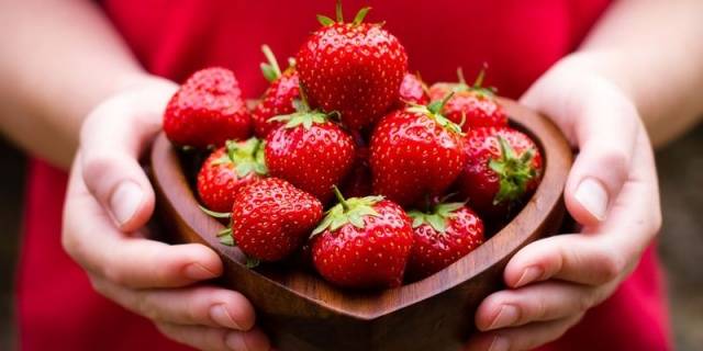 Strawberry varieties for central Our Country